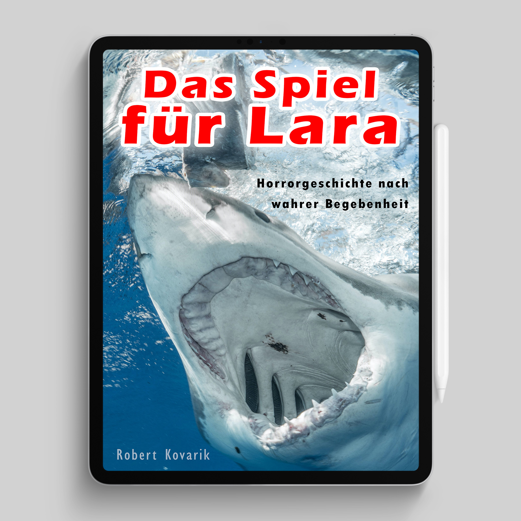 EBOOK “Das Spiel für Lara”